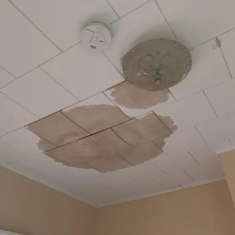 Ceiling Water Damage Repair in Manitowoc, WI