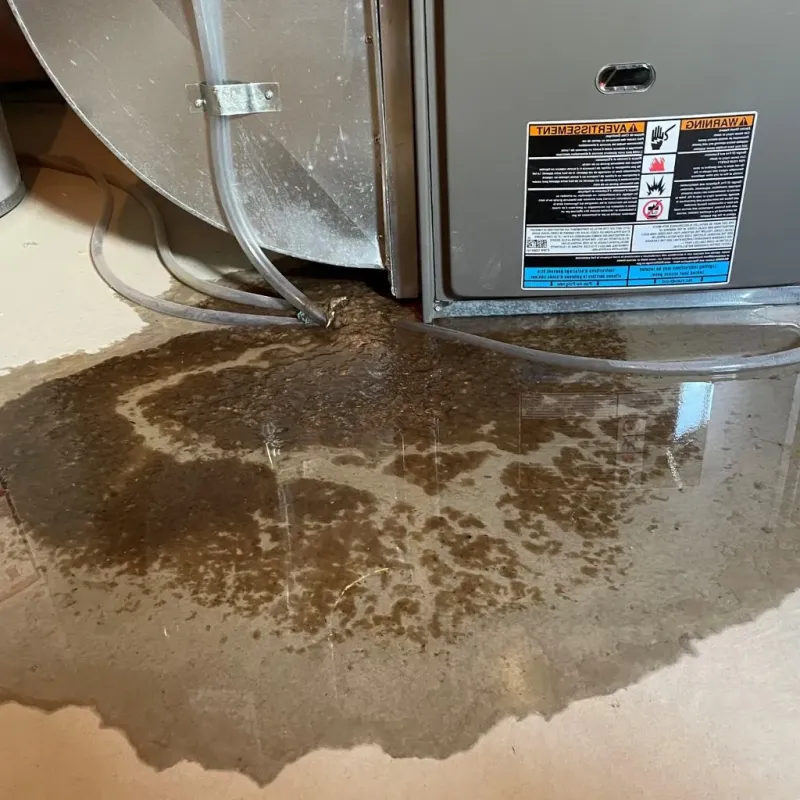 Pipe Burst and Leak Restoration in Manitowoc, WI